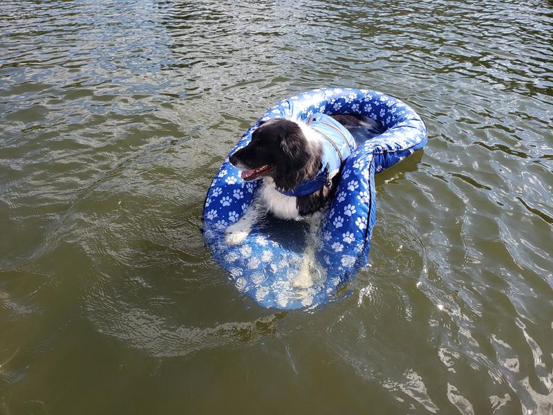 Swimways dog pool outlet float