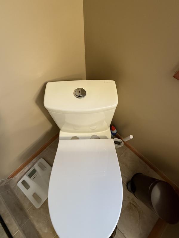 Ivy One Piece Toilet Dual Vortex™ Flush, Black Hardware 1.1/1.6