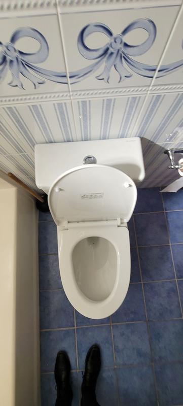 Dreux High Efficiency One-Piece Elongated Toilet with 0.8