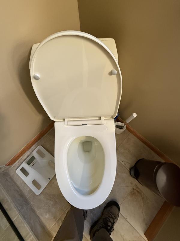 Ivy One Piece Toilet Dual Vortex™ Flush, Black Hardware 1.1/1.6