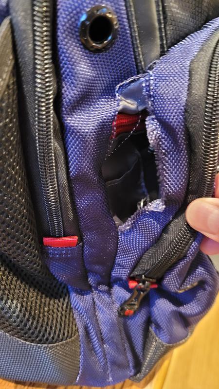 Swissgear synergy outlet backpack