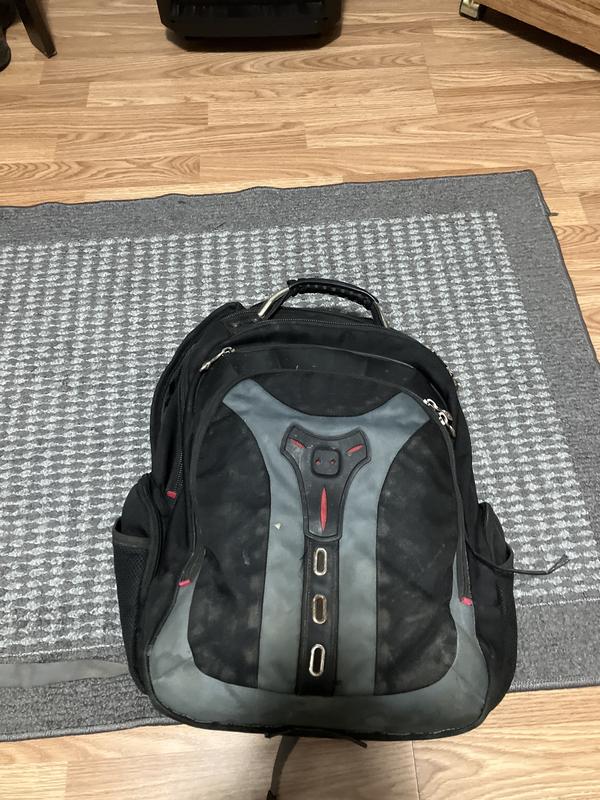 Swissgear pegasus cheap laptop backpack