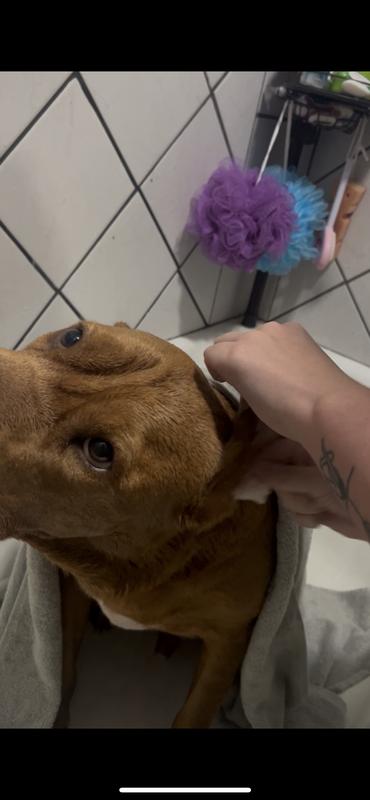 His face tells you how much relief he is getting!!