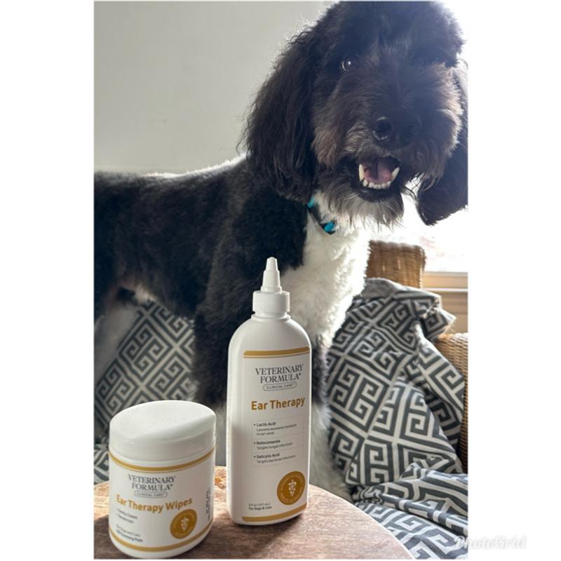 Ear Therapy and Ear Wipes bundle