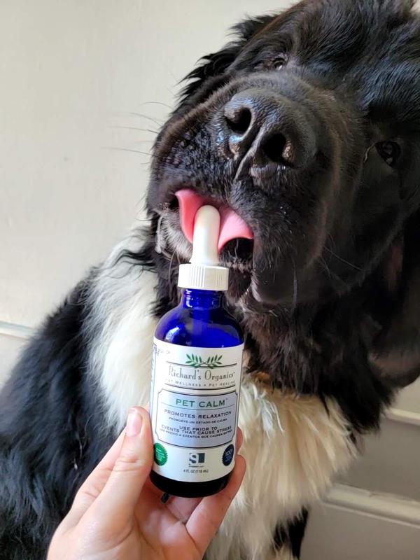Pet calm drops best sale