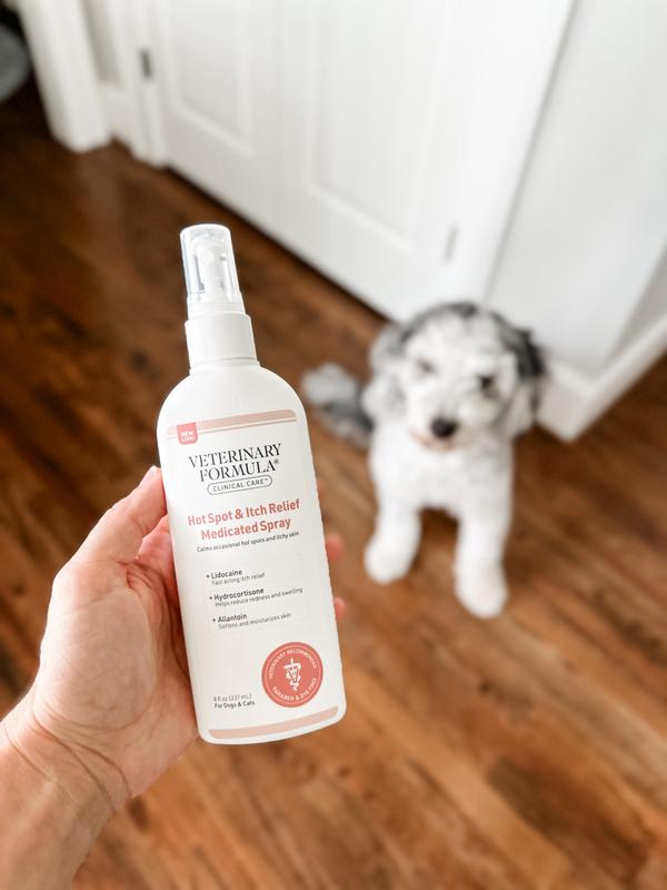 Veterinary Formula Clinical Care Hot Spot Itch Relief Medicated