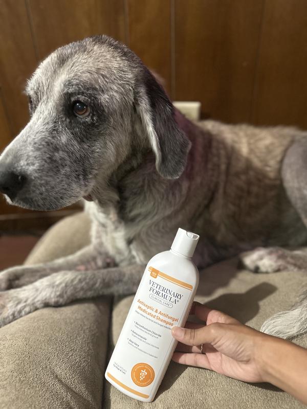 Veterinary Formula Clinical Care Antiseptic Antifungal Medicated