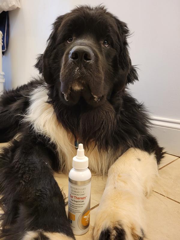 Nico loves the Ear Therapy product!