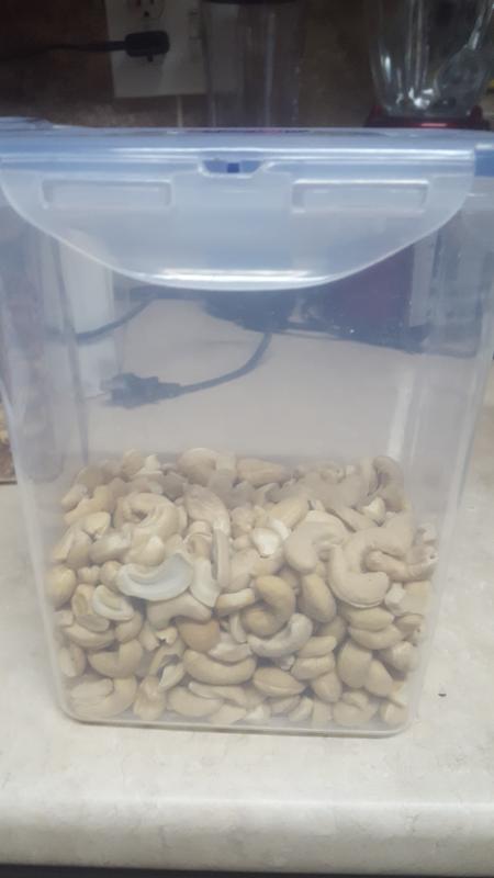 Cashew container 3