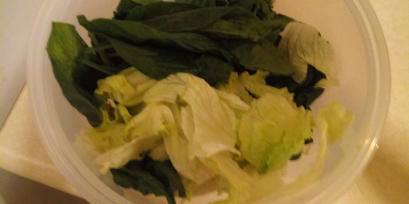 Lock & Lock Easy Essentials Specialty Salad Bowl with Colander Insert