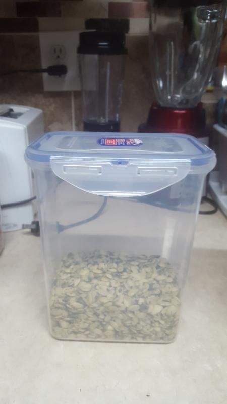 Pumpkin seeds container 1