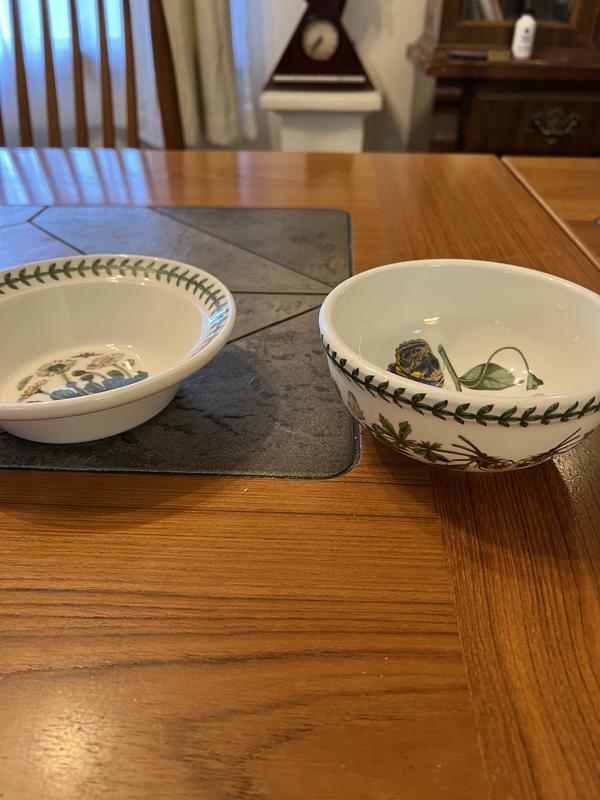 Botanic Garden Set of 4 Square Mini Bowls | Portmeirion