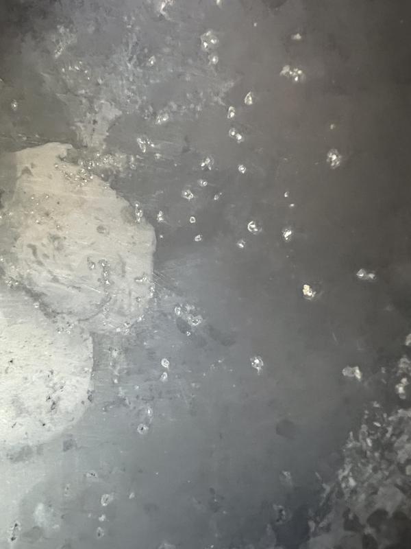 water was in the bowl for four hours and this is what happened don’t waste your money