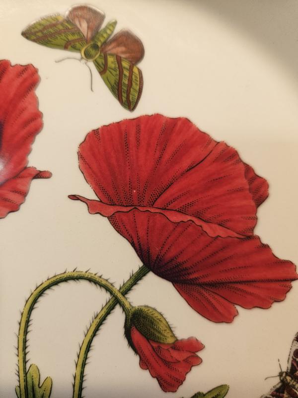 Botanic Garden Salad Plates Set of 6 | Portmeirion