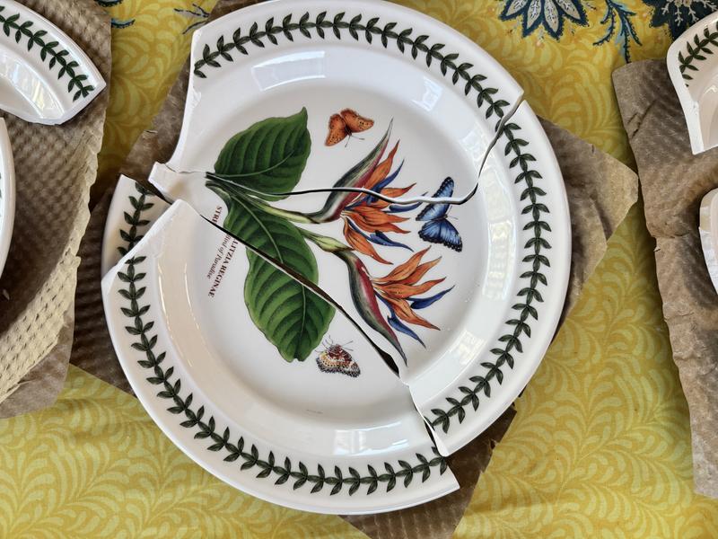 Exotic Botanic Garden Dinner Plates Set of 6 | Portmeirion