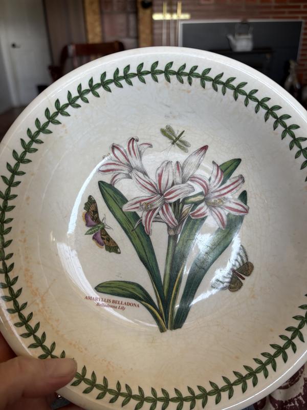 Shop the Botanic Garden Pasta Bowls Set | Portmeirion