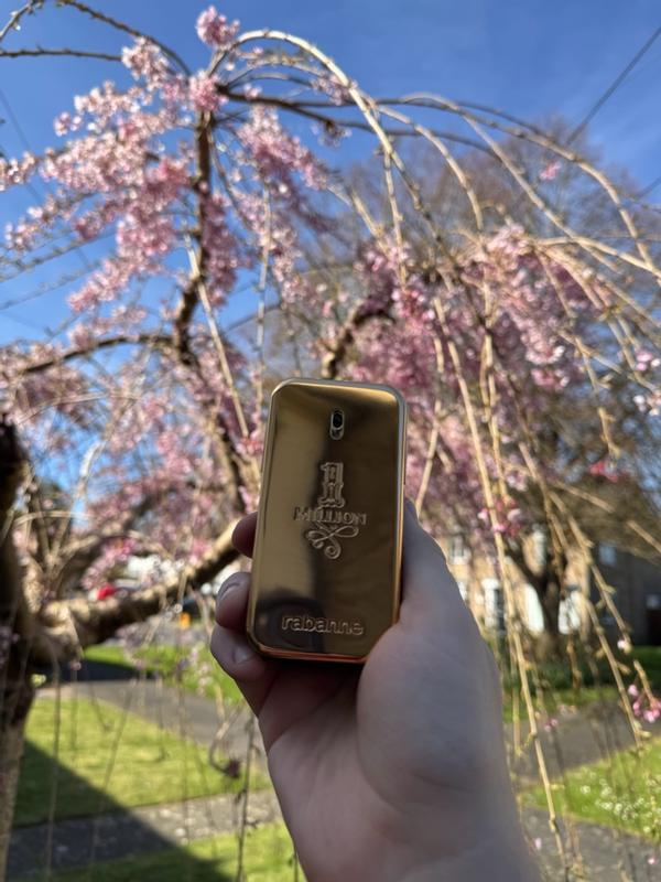 Review Thumbnail Image 1 1215555872