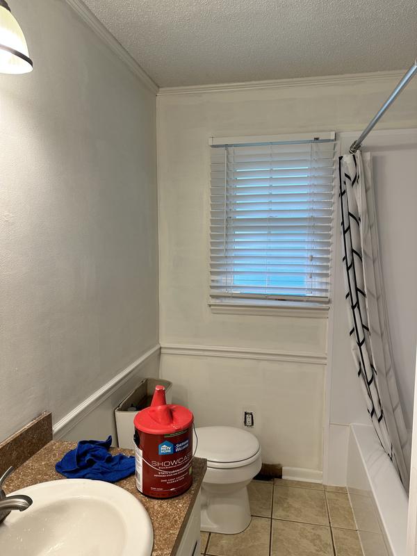 HGTV HOME by Sherwin-Williams Showcase Semi-gloss HGSW7005 Pure White  Acrylic Interior Paint + Primer (1-Gallon) in the Interior Paint department  at