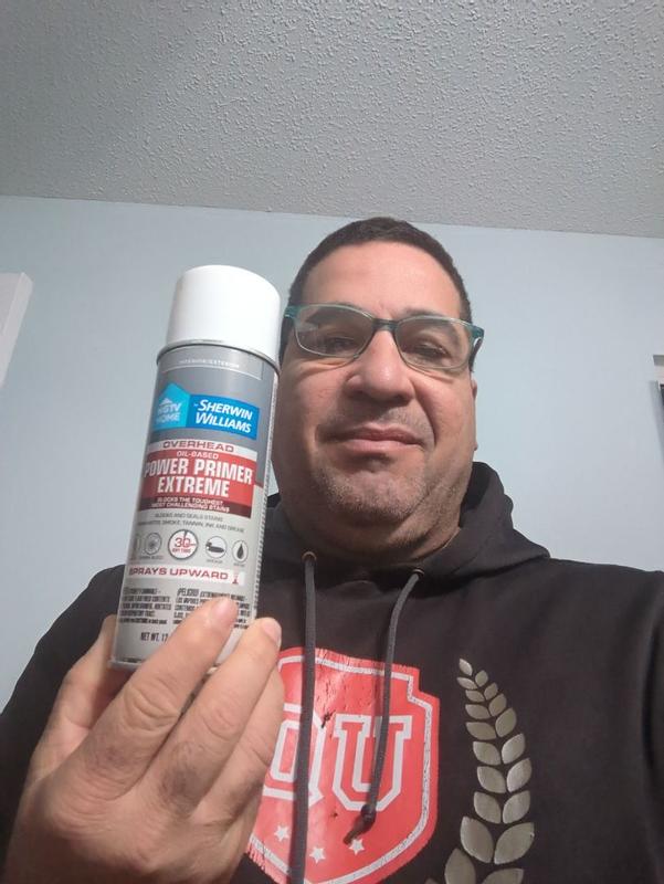 Sherwin Williams Disinfectant Spray On Sale 