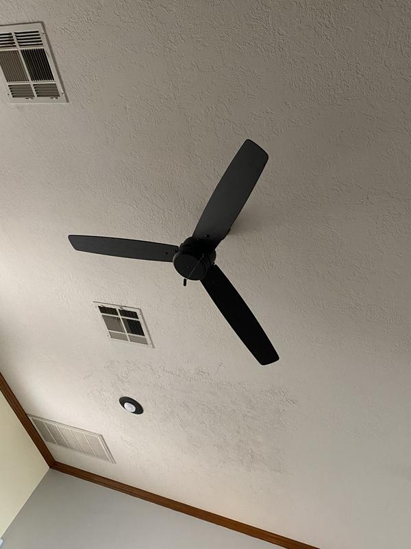 Ceiling fan