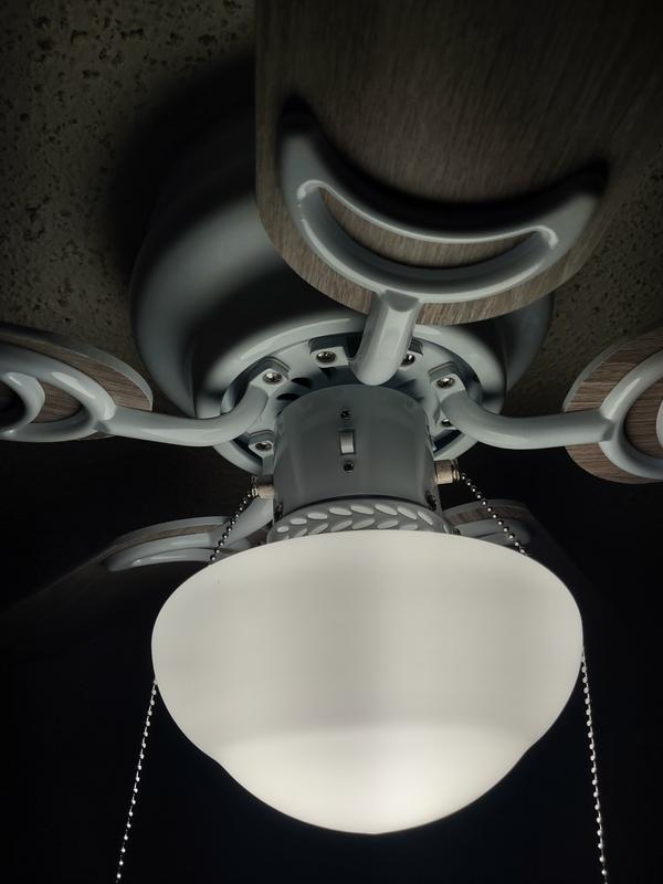 Bright light, reverse switch and plug chains for the light.and fan