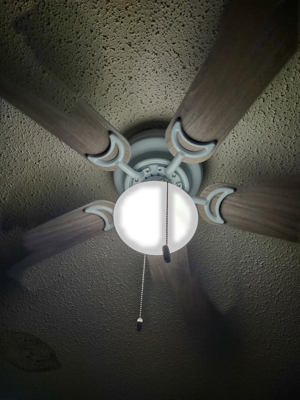 Great addition to any room in the house