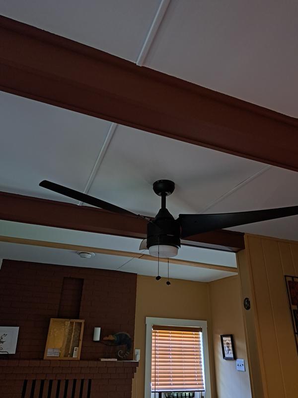 beautiful fan