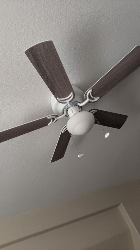 Canarm Neptune 42-Inch Hugger Ceiling Fan - White With Schoolhouse Glass & Reversible Blades