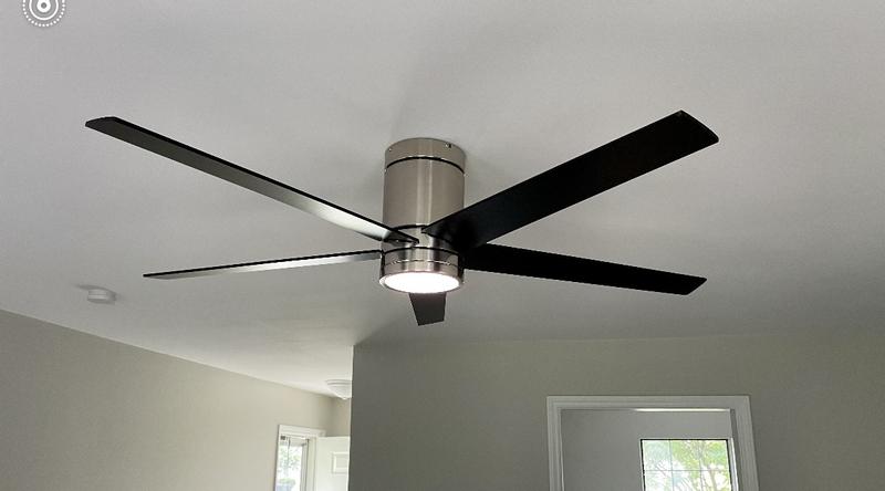 fan
