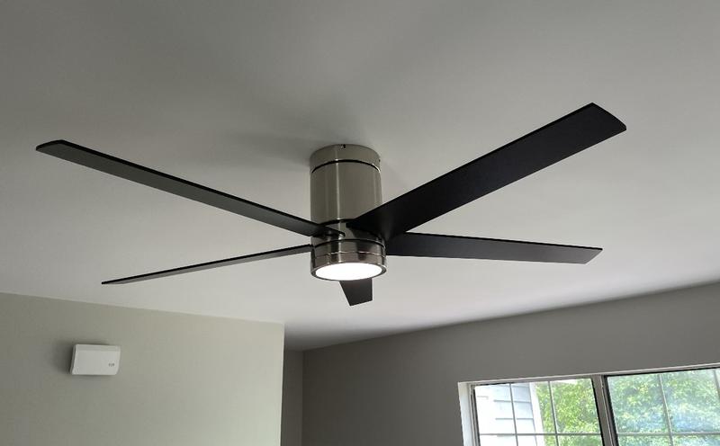 fan 2