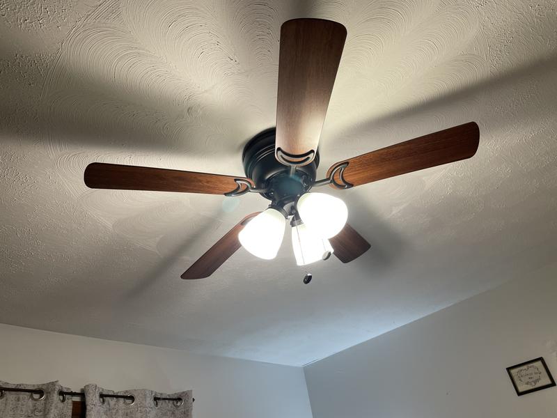 New fan