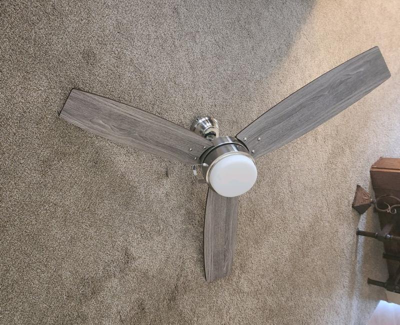 Beautiful fan