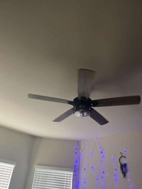 fan