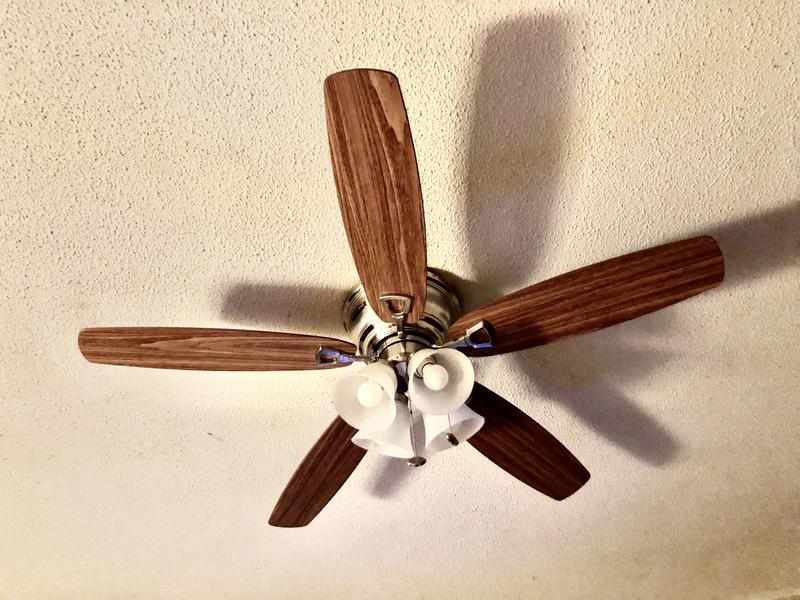 Beautiful Fan