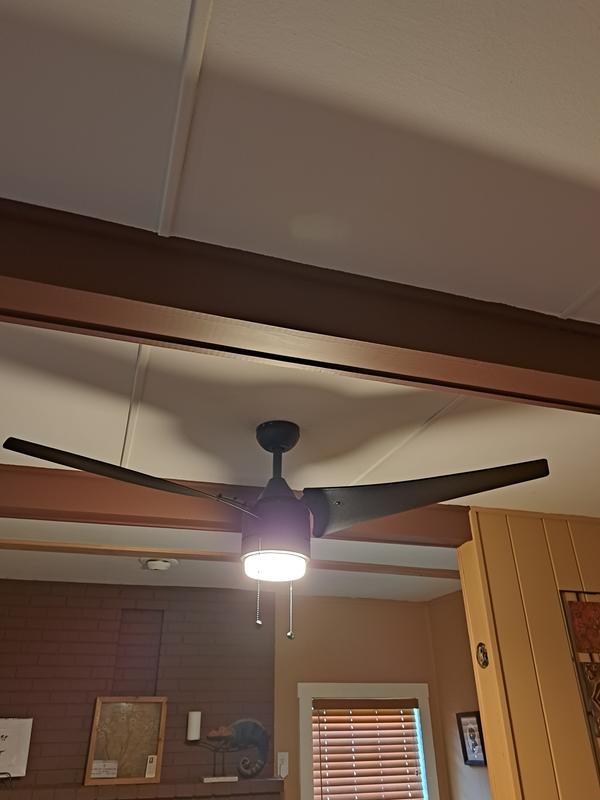 beautiful fan