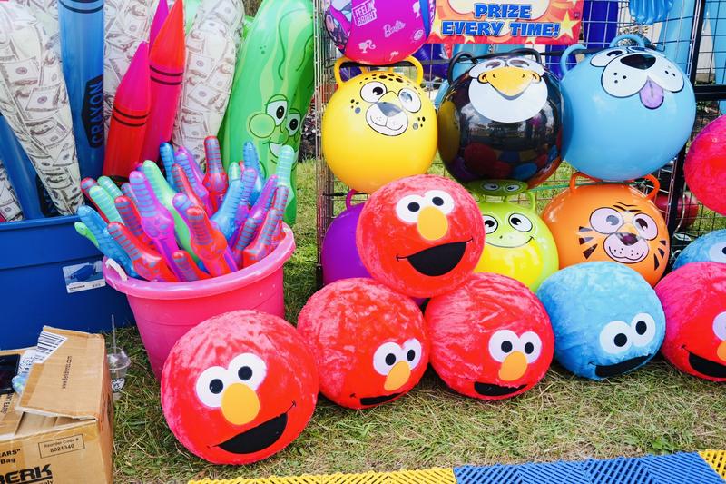 Medina County (OH) Fair 2024