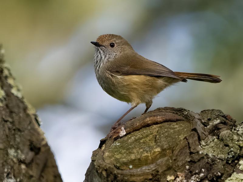 Customer photo 1 of 1. Click to open full size image.