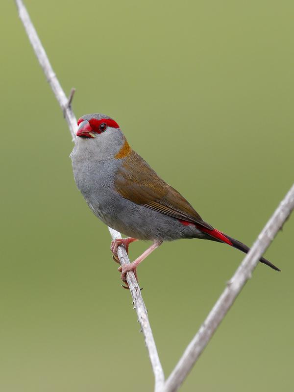 Customer photo 5 of 6. Click to open full size image.