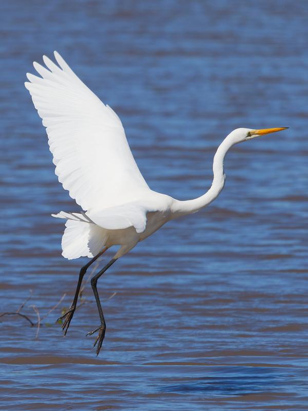 Customer photo 2 of 6. Click to open full size image.