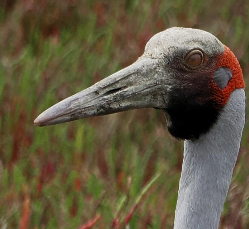 Customer photo 1 of 2. Click to open full size image.