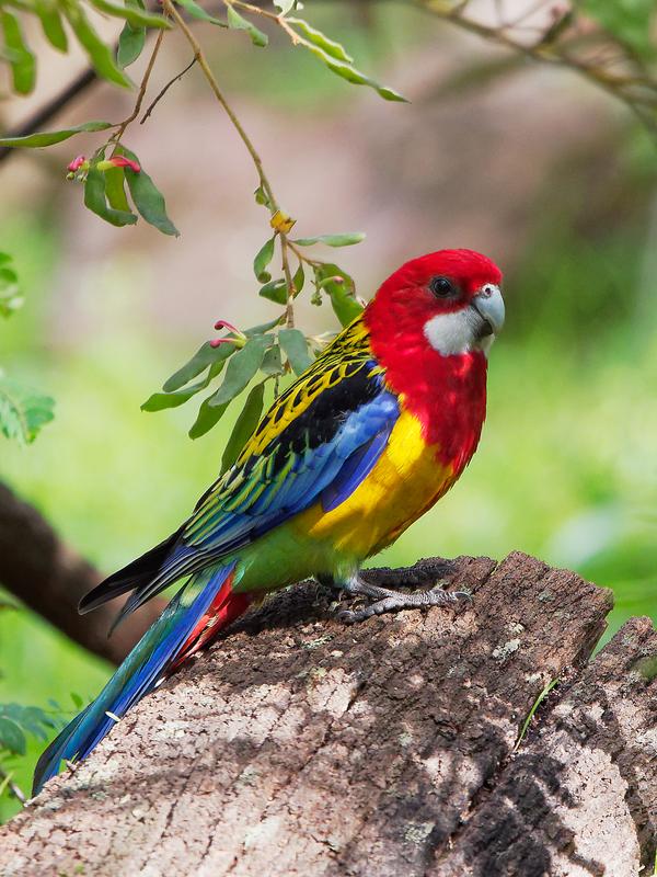 Customer photo 1 of 6. Click to open full size image.