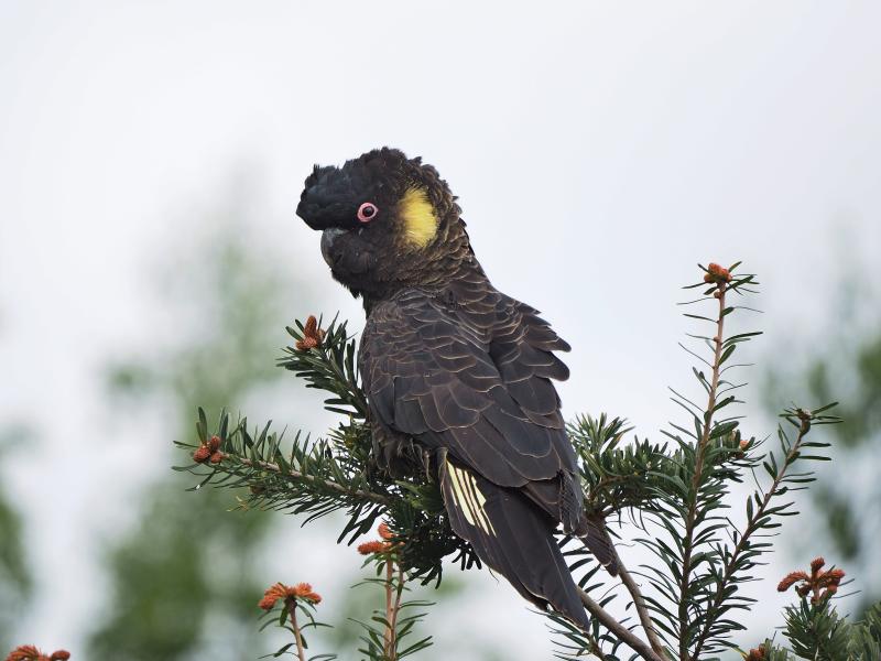 Customer photo 1 of 1. Click to open full size image.