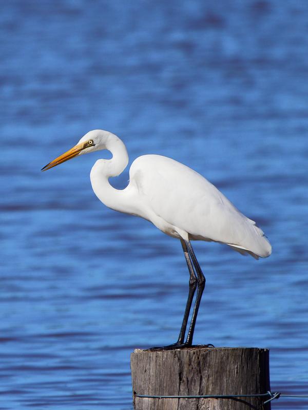 Customer photo 3 of 6. Click to open full size image.