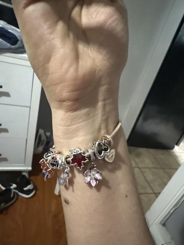 Pandora charms canada hotsell