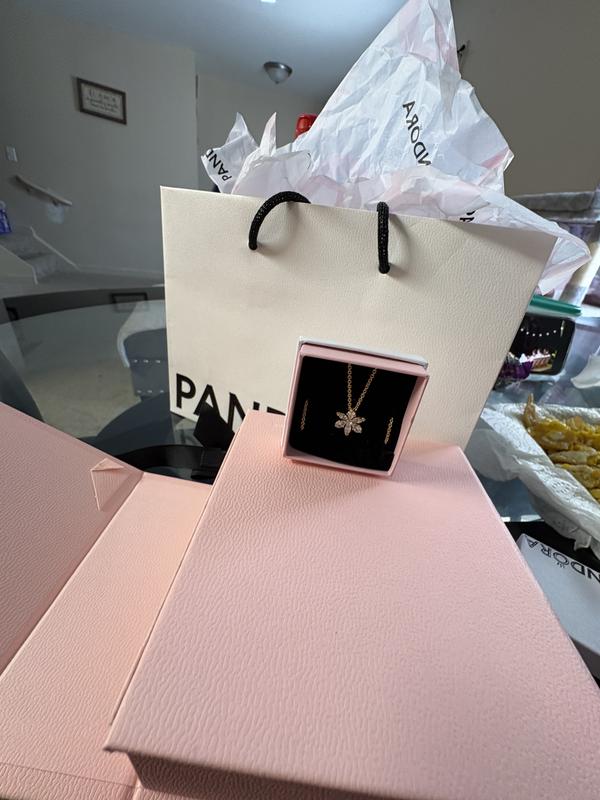 PANDORA ピンクボックス レッドベルペット PANDORA ピンクボックス レッドベルペット Pandora - #Pandora