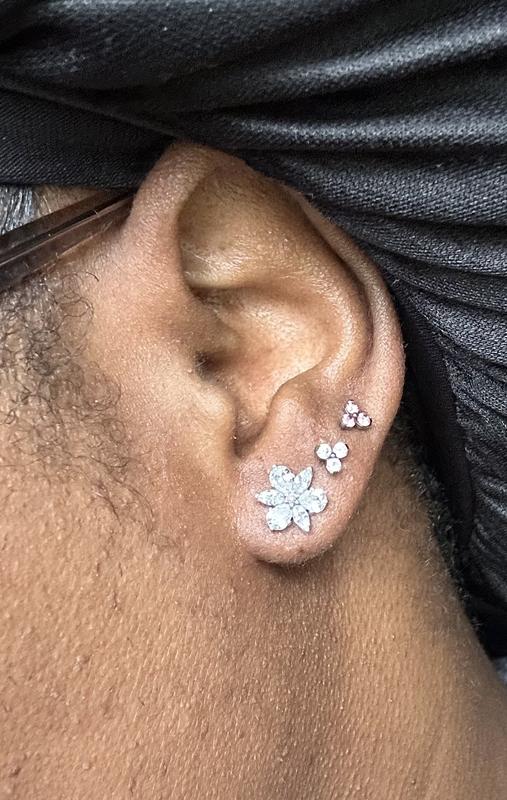 国内外の人気 Sparkling Herbarium Cluster Stud Earrings | Sterling silver 絵画