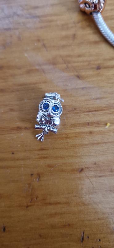 For hot Dennise 3 Items 1)NWT Pandora Wise Owl Charm