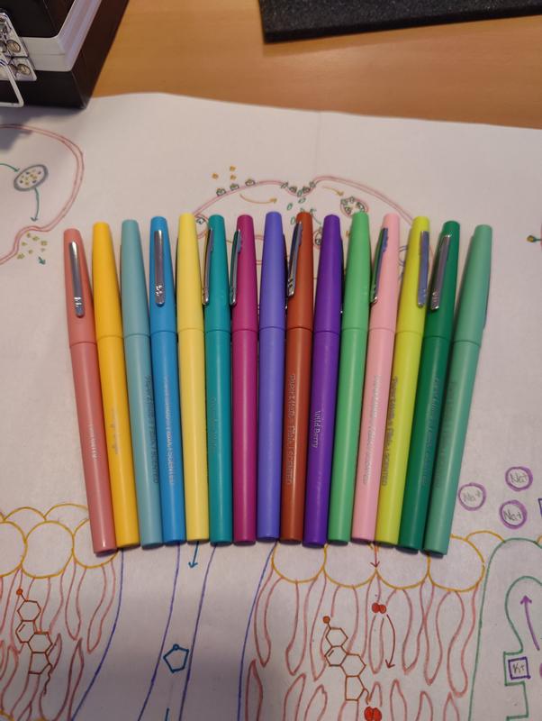 vibrant colors