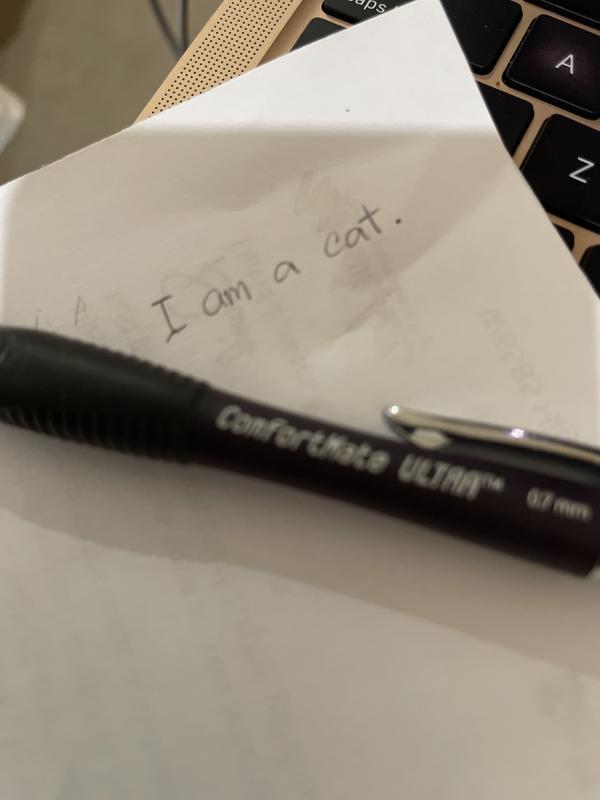 Photo - commentaire 2.