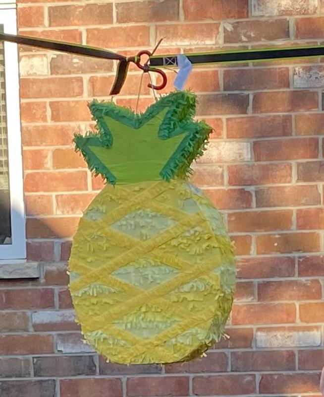 Unfortunately didn’t think to get a pic of the end product, stem broke away from the body of the pineapple.